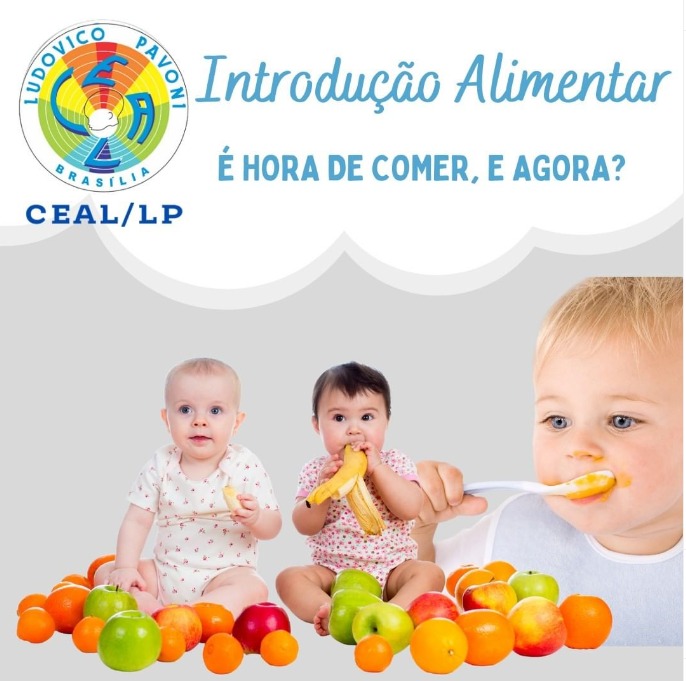 Read more about the article Introdução Alimentar